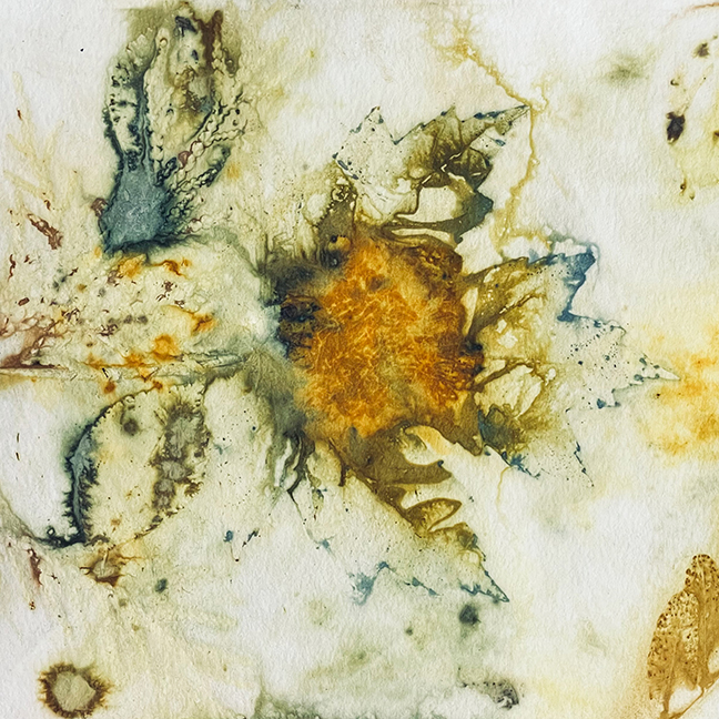 Eco Print Cover Image